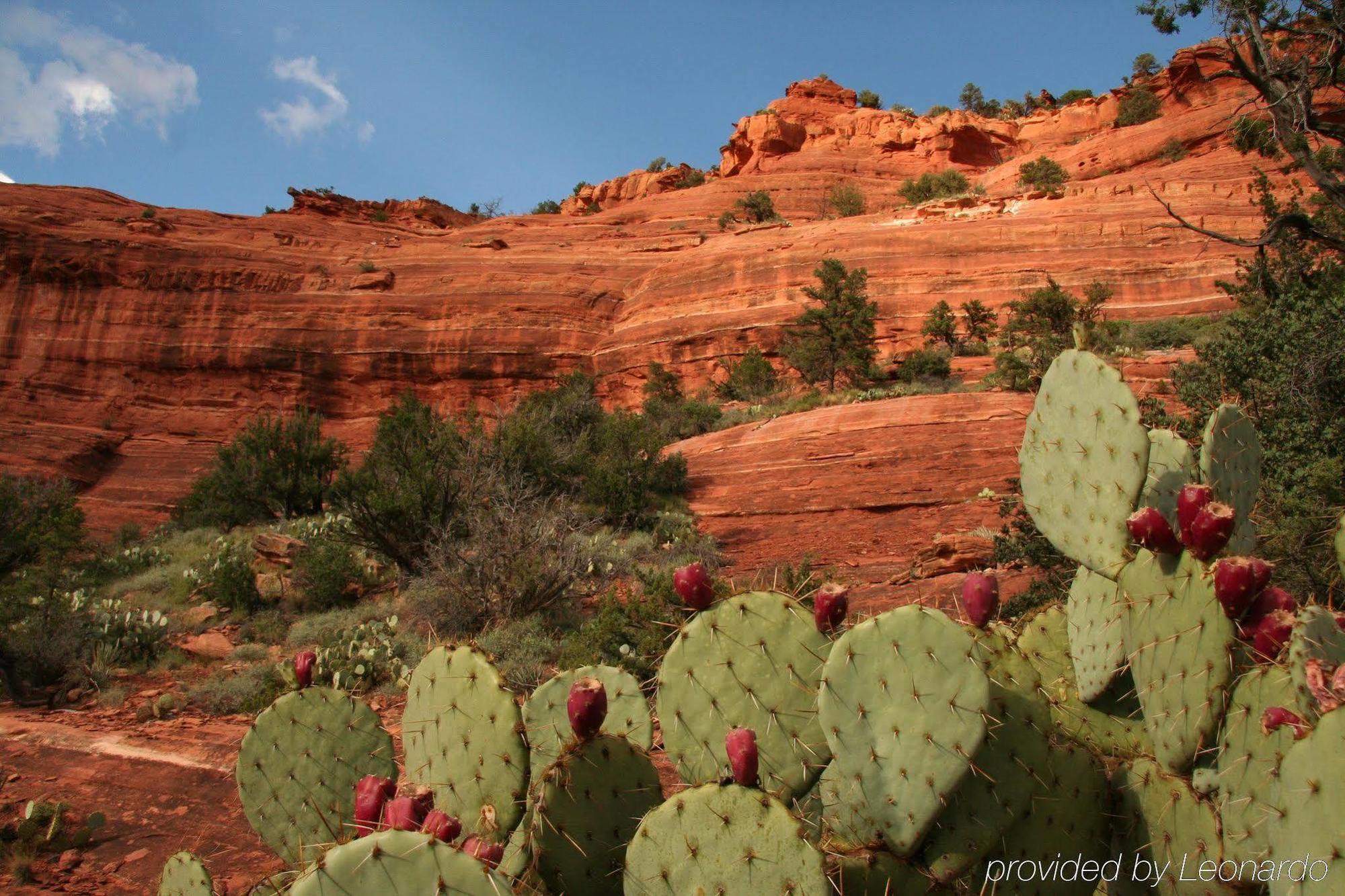The Cliffs Hotell Sedona Exteriör bild